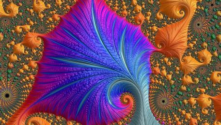 Colorful Fractal Symphony of Nature's Patterns wallpaper