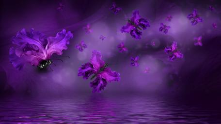 Purple Butterflies in a Dreamy Landscape wallpaper