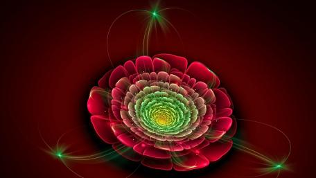 Vibrant Abstract Floral Design wallpaper