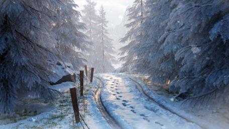Winter Wonderland in the Forest wallpaper