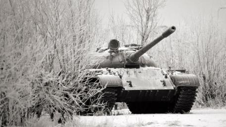 Silent Guardian in the Frosty Wilderness wallpaper