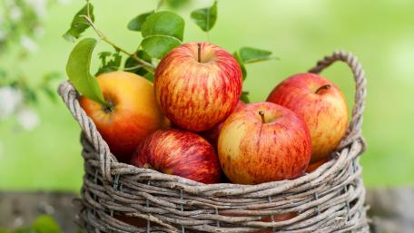 Freshly Picked Apples in a Rustic Basket wallpaper