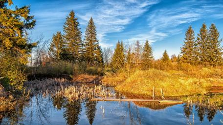 Serene Reflections on a Tranquil Lake wallpaper