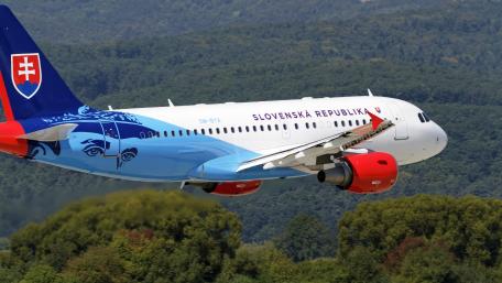 Sleek Aircraft Soaring Through Scenic Landscape wallpaper