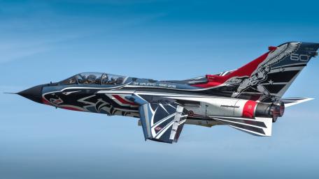 Fierce Elegance in the Skies wallpaper