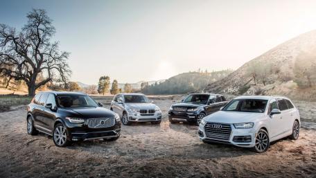 Stylish SUV Lineup in Nature's Embrace wallpaper