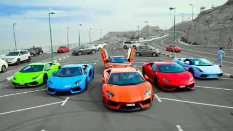 Vibrant Supercars Showcased in Stunning Array wallpaper