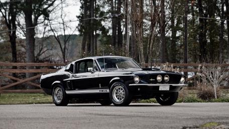 Classic Black Mustang Beauty in Nature Scene wallpaper