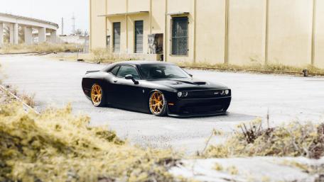 Sleek Black Muscle Car with Golden Rims wallpaper