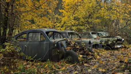 Abandoned Vintage Cars in Autumn Glory wallpaper