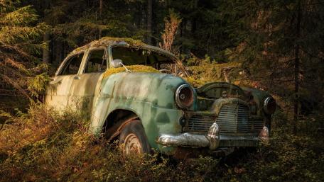Forgotten Vintage Car in Nature's Embrace wallpaper