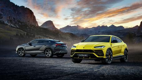 Dynamic Luxury and Power in Nature's Embrace wallpaper