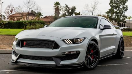 Sleek Shelby Mustang GT350 Revving with Power in Style wallpaper