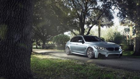 Sleek BMW M4 Under a Canopy of Trees wallpaper