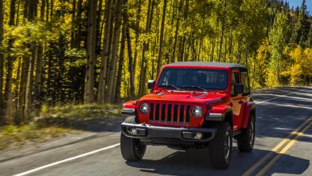Vibrant Journey Through Autumn Trails wallpaper