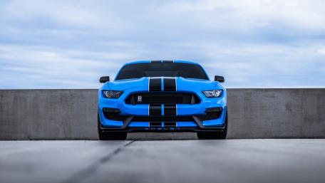 Vibrant Blue Shelby Mustang Facing Forward wallpaper