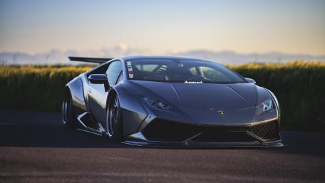 Sleek and Powerful Lamborghini in Nature's Embrace wallpaper