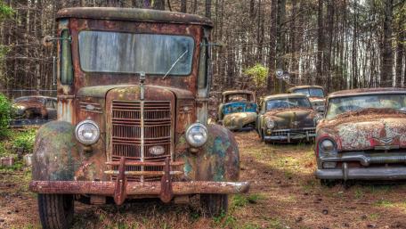 Forgotten Vintage Cars Among the Trees wallpaper