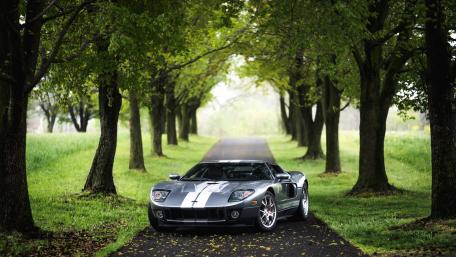Sleek Sports Car Amidst Lush Greenery wallpaper