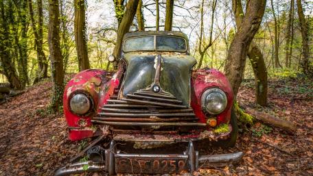 Vintage BMW Abandoned in a Woodland Setting wallpaper