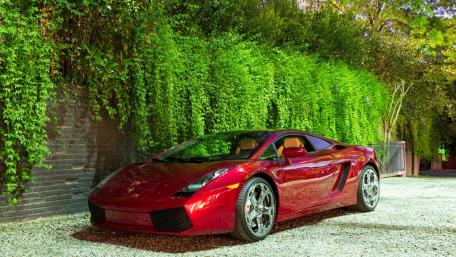 Sleek Red Supercar Beneath Lush Greenery wallpaper