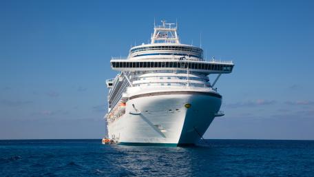 Majestic Cruise Ship Afloat in Clear Waters wallpaper