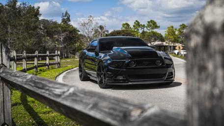 Sleek Black Mustang on a Scenic Drive wallpaper