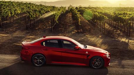 Elegant Car Amidst Scenic Vineyards wallpaper