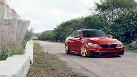 Sleek Red BMW with Gold Wheels in Nature Setting wallpaper