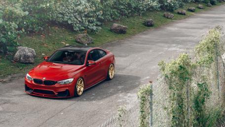 Sleek Red BMW with Gold Rims on a Scenic Pathway wallpaper