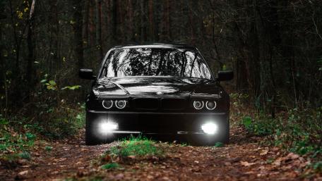 Striking Black Car in Lush Green Forest Scene wallpaper