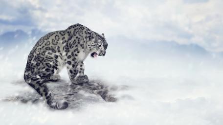 Majestic Snow Leopard in a Dreamlike Landscape wallpaper