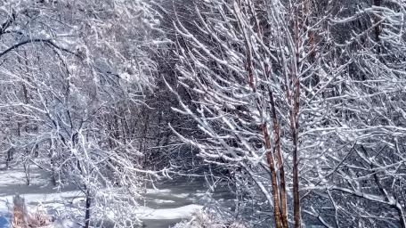 Ice World wallpaper