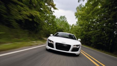 Sleek Audi R8 Driving Through Lush Greenery wallpaper
