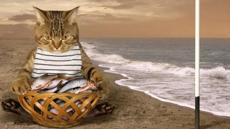 Whimsical Cat Fishing by the Shore wallpaper