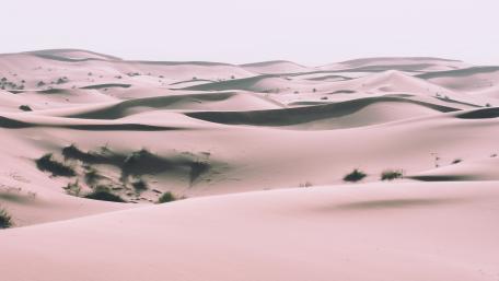 Serene Desert Dunes at Dawn wallpaper