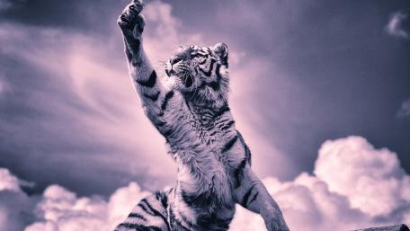 Majestic Tiger in Monochrome Artistry wallpaper