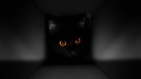 Mystery of the Enigmatic Cat Eyes wallpaper