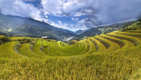 Golden Terraces of Abundance wallpaper