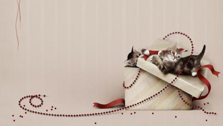 Playful Kittens Unwrapping Holiday Joy wallpaper