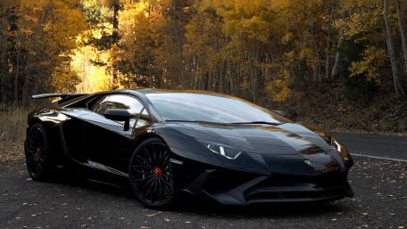 A Sleek Drive through Nature's Beauty wallpaper