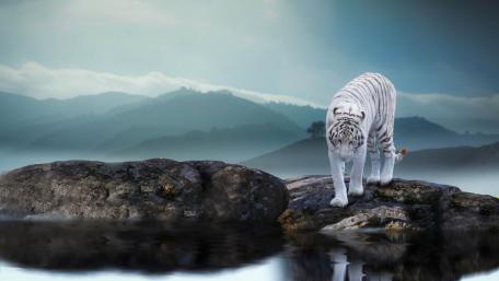 Majestic White Tiger in a Serene Landscape wallpaper