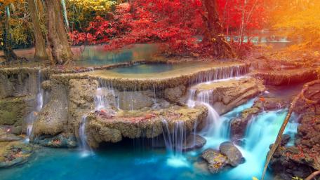 Autumn Serenity in Nature's Embrace wallpaper