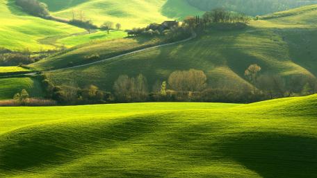 Vibrant Green Hills Embracing Nature's Beauty wallpaper