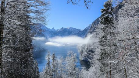 Majestic Winter Wonderland Scene wallpaper