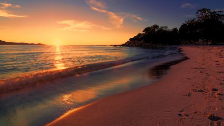 Sunset Serenity on the Shoreline wallpaper