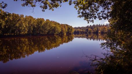 Serene Backwater Reflections in Nature wallpaper