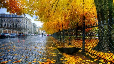 Golden Autumn Streets in the City wallpaper