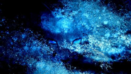Blue cat eyes digital art wallpaper
