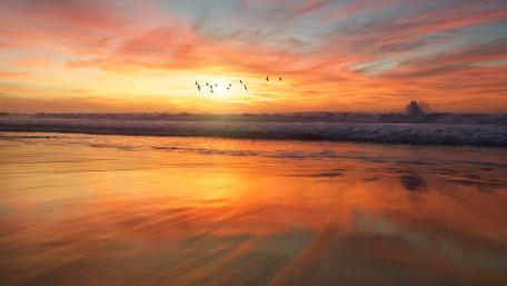 Serene Sunset Over Coastal Waves wallpaper